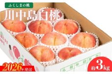 No.2153福島のもも　川中島白桃　約3kg【2026年発送　先行受付】