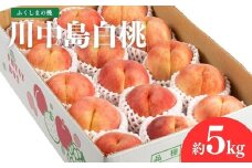No.2154福島のもも　川中島白桃　約5kg【2025年発送】
