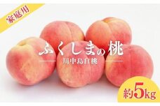 No.2156福島のもも　家庭用 川中島白桃　約5kg【2025年 先行予約】