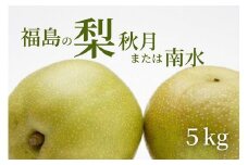 No.2186福島の梨　秋月または南水　約5kg【2025年発送分】