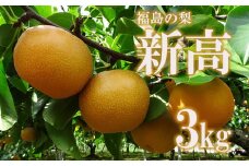 No.2189福島の梨　新高　約3kg 【2025年発送 先行予約】