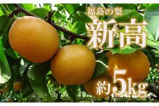 No.2190福島の梨　新高　約5kg【2025年発送分】