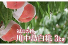 No.2207 【先行予約】もも「川中島白桃」約3kg【2025年発送】