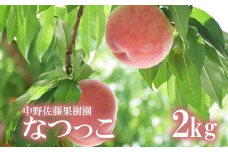 No.2213 【先行予約】もも「なつっこ」約2kg【2025年発送】