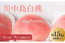 No.2219 【先行予約】もも「川中島白桃」約1.5kg 化粧箱入【2025年発送】