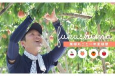 No.2223桜田/佐藤果樹園　果樹まるごと一年おまかせセット【2025年発送】