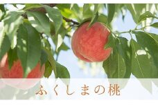 No.2243もも「あかつき」約3kg【2025年発送　先行予約】