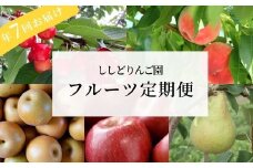 No.2247【先行予約】ししどりんご園 フルーツ7回定期便ミニコース【2025年発送】