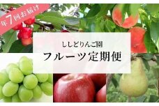 No.2248【先行予約】ししどりんご園 大満足フルーツ7回定期便【2025年発送】