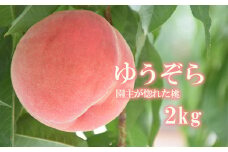 No.2235ヤマ考紺野果樹園 もも ゆうぞら 約2kg【2025年発送】