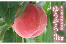 No.2230ヤマ考紺野果樹園 もも ゆうぞら約3kg【2025年発送　先行予約】
