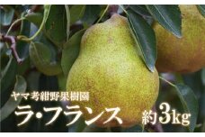 No.2232ヤマ考紺野果樹園 ラフランス約3kg【2025年発送】