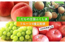 No.2339フルーツ４種 定期便 桃 梨 ぶどう りんご【2025年 先行予約】