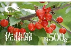 No.2335さくらんぼ（佐藤錦500g）【2025年発送　先行予約】