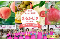 No.2364まるせい果樹園 【定期便4回】まるかじりDコース【2025年発送】