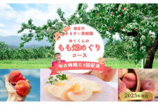 No.2365まるせい果樹園 【定期便4回】ゆうくんのもも畑めぐりコース【2025年発送】
