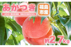 No.2344もも「あかつき」贈答用　約2.7kg【2025年発送　先行予約】