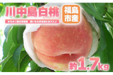 No.2347もも「川中島白桃」贈答用　約1.7kg【2025年発送　先行予約】