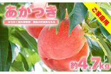 No.2346もも「あかつき」ご家庭用　約4.7kg【2025年発送　先行予約】