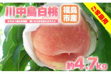 No.2350もも「川中島白桃」ご家庭用　約4.7kg【2025年発送　先行予約】