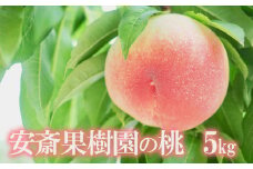 No.2321もも　「さくら白桃」約5kg【2025年発送　先行予約】
