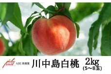 No.2300もも　川中島白桃約2kg【2025年発送　先行予約】