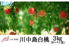 No.2301もも　川中島白桃約3kg【2025年発送　先行予約】
