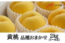 No.2302黄桃　品種お任せ約2kg【2025年発送　先行予約】