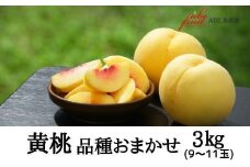 No.2303黄桃　品種お任せ約3kg【2025年発送　先行予約】