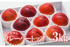 No.2316ネクタリン「フレーバートップ」 約3kg【2025年発送　先行予約】