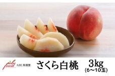 No.2305もも　さくら白桃約3kg【2025年発送　先行予約】