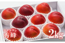No.2318ネクタリン「秀峰」約2kg【2025年発送　先行予約】