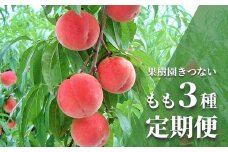 No.2295福島のもも3回定期便【2025年発送】