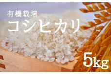 No.2376やまろく商店【令和6年産】有機栽培コシヒカリ 精米5kg