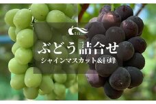 No.2333ぶどう(巨峰・シャインマスカット詰合せ）（約2kg）【2025年発送　先行予約】