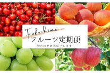 No.2274さくらんぼから始まる果物4品 定期便【2025年発送　先行予約】