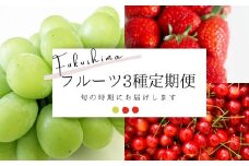 No.2277フルーツ3種定期便 シャインマスカット/いちご/さくらんぼ【2025年～2026年発送　先行予約】