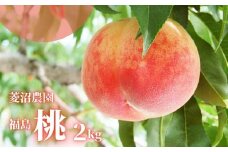 No.2405【先行予約】福島 桃　約2kg【2025年発送】