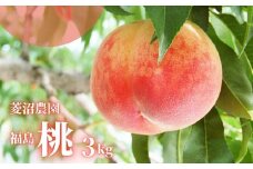 No.2406【先行予約】福島 桃　約3kg【2025年発送】