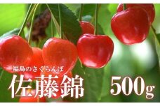 No.2413さくらんぼ「佐藤錦」約500ｇ（バラ詰め）【2025年発送】