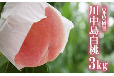 No.2415もも「川中島白桃」 約3kg【2025年発送】