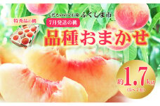 No.2421　7月発送の桃 特秀品約1.7kg【2025年発送　先行予約】