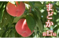 No.2423もも「まどか」 特秀品約1.7kg【2025年発送　先行予約】