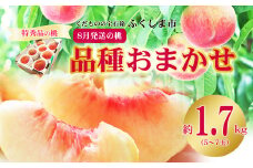 No.2425　8月発送の桃　特秀品約1.7kg【2025年発送　先行予約】
