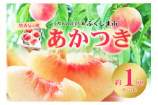 No.2434菅野房吉商店　もも「あかつき」特秀品 1kg【2025年発送 先行予約】