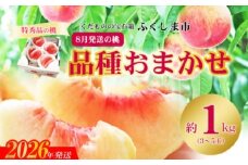No.2436　8月発送の桃 品種お任せ　特秀品約1kg【2026年発送　先行予約】
