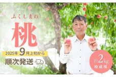 No.2407【先行予約】福島 桃　晩成種約2kg【2025年発送】