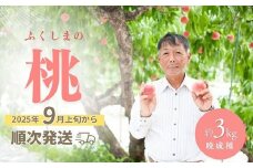 No.2408【先行予約】福島 桃　晩成種約3kg【2025年発送】