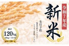 No.2497【令和７年産新米　先行予約】大文字屋米穀店【定期便12回】コシヒカリ 10kg（5kg×2）精米 （毎月お届け）