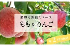 No.2511 くだもの定期便【Aコース/全2回】【2025年発送】